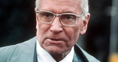 10 Movies From 1976 That Are Now Considered Classics