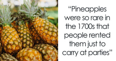 100 Interesting Facts That May Make You Rethink Things You Thought You Understood