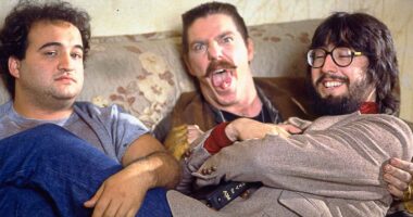 11 Photos on and Behind the Scenes of "Animal House"