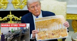 President Donald Trump spent time Friday morning picking out materials for his ongoing White House ballroom project. 'President Trump is purchasing marble and onyx, at his own expense, for the White House Ballroom,' a White House official said, as his motorcade stopped at Arc Stone & Tile in Lake Worth, Florida, four miles down the road from Mar-a-Lago. The project is at the center of a legal battle with preservation groups after Trump demolished the White House's East Wing without any government oversight.