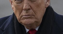 Donald Trump has shocked NATO allies with a letter to Norway's PM where he said he 'no longer feels an obligation to think purely of peace' because 'your country decided not to give me the Nobel Peace Prize'