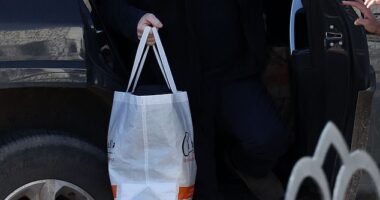 Timothy Busfield¿s first day of freedom included swapping out his jail jumpsuit for a neat pair of navy slacks and a leisurely trip to grocery store Trader Joe¿s, the Daily Mail can reveal