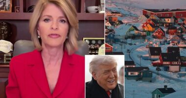 Former United States Ambassador to Denmark Carla Sands said she is convinced that President Donald Trump will acquire Greenland in some form before the end of his second term. 'It will be under the United States control,' Sands told the Daily Mail in an interview, suggesting that the island could be the next Puerto Rico by the end of his second term, a territory owned by the United States with 'rights and representation' but under American security. Trump's rhetoric, she conceded, had obviously upset a lot of people in Denmark and Greenland. But the point was to shake up the status quo.