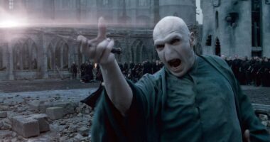 20 Best Wands in Harry Potter, Ranked