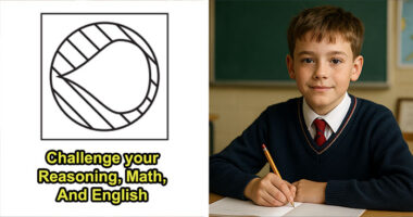 28 Real Questions From Top IQ Exams In The UK That Only A Few Can Solve – Prove You Can