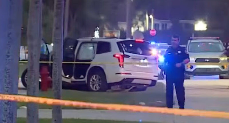 3 Dead in Florida Murder-Suicide; Suspect Shoots Himself During Police Chase