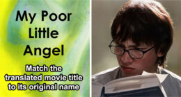 31 Films That Got Lost In Translation: Prove You Can Still Name Them All