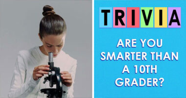 32 School Questions To Prove You’re Smarter Than The Average U.S. 10th Grade Student