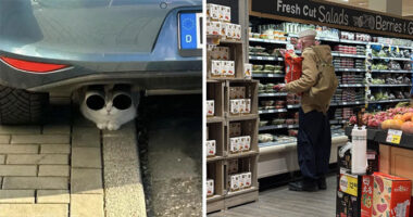 55 Funny Pictures From 2025 That Perfectly Capture The Weirdness Of Last Year