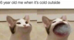 55 Hilarious Memes That Are So Relatable, It Will Feel Like They Were Made Just For You