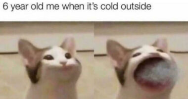 55 Hilarious Memes That Are So Relatable, It Will Feel Like They Were Made Just For You