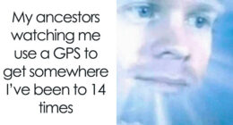 62 Funny Memes That Make Absolutely No Sense And Somehow Work