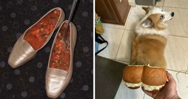 66 Random And Bizarre Memes That Might Leave You With More Questions Than Answers