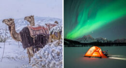 80 Cozy Images Of This Year’s Winter To Enjoy Without Stepping Into The Cold