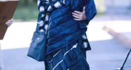 One of 80s television¿s most glamorous actresses, now 69, turned heads on Wednesday with her youthful beauty while running errands in Los Angeles, looking as if she¿d stepped straight out of 1984 as Sgt. Dee Dee McCall on Hunter