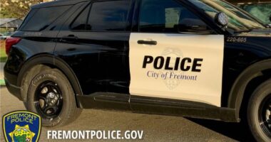 93-year-old California man arrested for allegedly shooting wife in their car