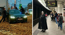 95 Of The Weirdest And Most Unhinged Things Seen On The Streets Of Brussels