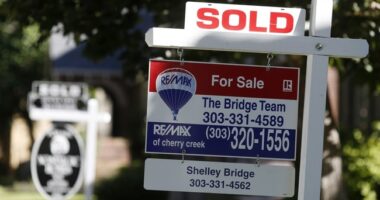 A Much-Needed Bad Idea? – RedState