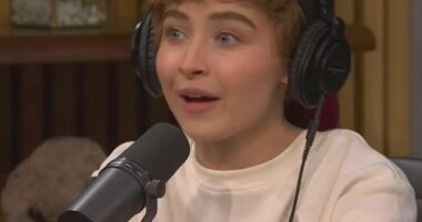 A world-famous pop star was completely unrecognizable as she made a surprise cameo as a 12-year-old boy on Saturday Night Live this weekend