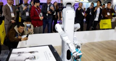 AI frenzy: Business investment has been an unexpected source of strength for the U.S. economy