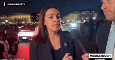 Alexandria Ocasio-Cortez has refused to appear on Fox News after accusing one of the network's hosts of sexually harassing her on television. The New York Democratic lawmaker made the explosive allegations on Wednesday after being confronted by a Fox News producer, Johnny Belisario, on Capitol Hill who offered AOC the chance to appear on Jesse Watters' show. 'Jesse Watters would like to invite you on his show,' Belisario asked Ocasio-Cortez. 'Would you join him?'