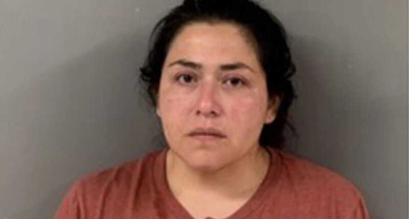 Alabama Mom Charged After 2-Year-Old Son Shot Dead by Sibling