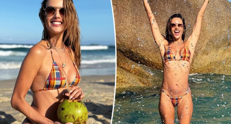 Alessandra Ambrosio soaks up the sun in teeny plaid bikini during Brazilian getaway