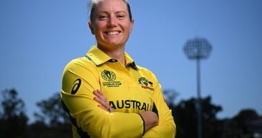 Alyssa Healy has been described as 'one of the all-time greats of the game' after announcing her retirement from cricket