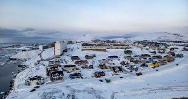 Americans aren't so set on Donald Trump taking military action or enacting regime change in Greenland despite the president making it clear that could be a next target after Venezuela