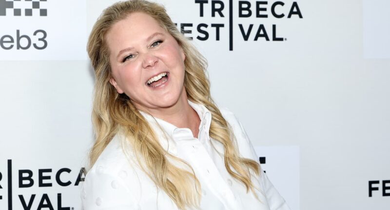 Amy Schumer buys a Manhattan apartment for $6.25 million, then officially files for ‘amicable’ divorce from Chris Fischer