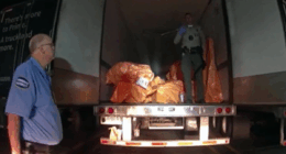 Anger as suspect in $100M jewelry heist said to be biggest in US history avoids standing trial – because ICE deported him