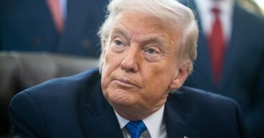 President Donald Trump, pictured above in the Oval Office on Friday, penned a scathing message to Minnesota lawmakers on Truth Social