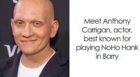 Anthony Carrigan: Bio And Career Highlights