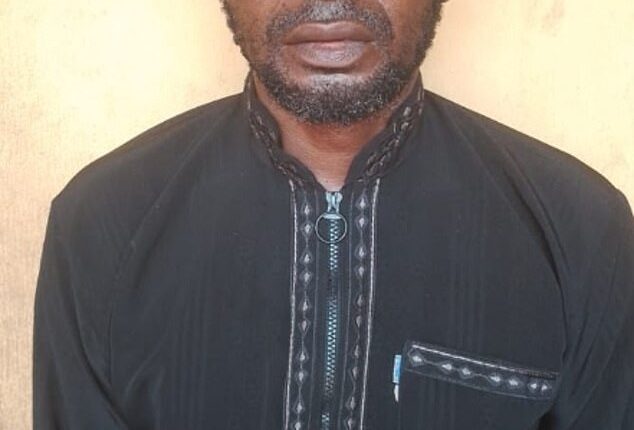 Adeniyi Kayode, 47 - pictured here for the first time - was at the wheel of the black Lexus SUV when it ploughed into the back of a stationary truck carrying soya beans as he drove Joshua and his friends