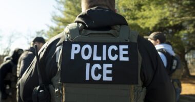 Anti-ICE Crew Thinks They Have ICE Cornered in CA Restaurant, Then an Epic Fail Ensues – RedState