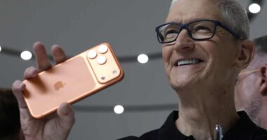 Apple’s stock rises as Tim Cook gives just enough detail on Wall Street’s most burning question