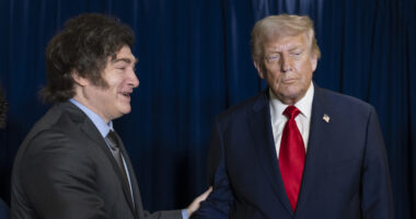 Argentina's Milei Stabs Trump in the Back on Chinese EVs.