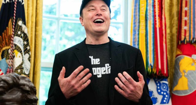 As SpaceX prepares for its IPO, Elon Musk’s empire could get even more intertwined