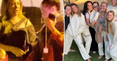 Ashley Tisdale and Haylie Duff put on united front for family outing amid toxic mom group drama