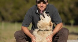 Dr Will Maginnesswas seeing up to 15 dogs a day at the peak of his work in a Geelong animal hospital, so it's fair to say the vet knows his pups