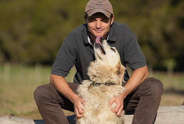 Dr Will Maginnesswas seeing up to 15 dogs a day at the peak of his work in a Geelong animal hospital, so it's fair to say the vet knows his pups