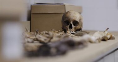 Authorities Make a Massive Discovery... of Gruesome Human Remains at PA Home – RedState