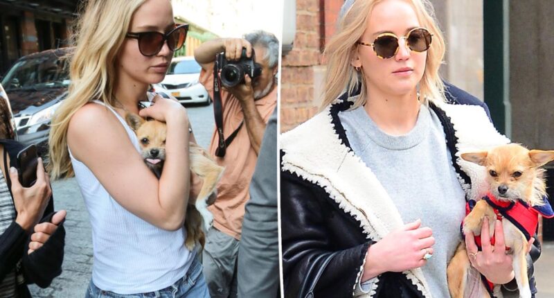 'Awful' Jennifer Lawrence slammed for rehoming dog who bit her child: 'This is so disappointing'