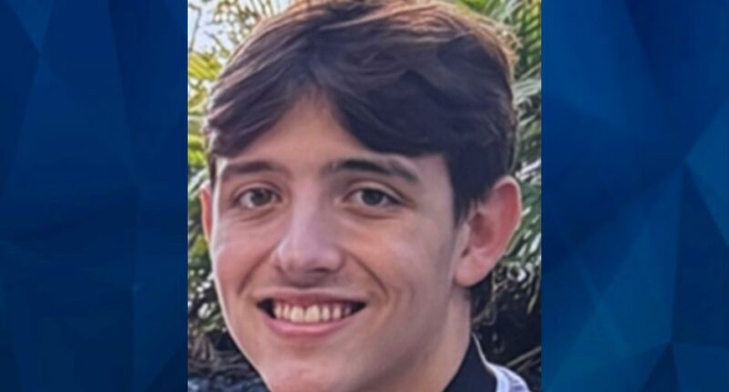 BOLO: Missing Child Alert Issued for 16-Year-Old Florida Boy