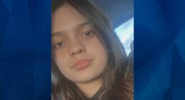 BOLO: Police Seek Tips on Missing 13-Year-Old Illinois Girl
