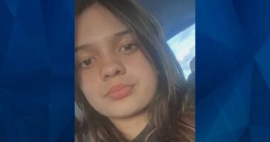 BOLO: Police Seek Tips on Missing 13-Year-Old Illinois Girl