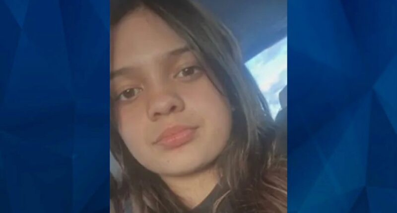 BOLO: Police Seek Tips on Missing 13-Year-Old Illinois Girl