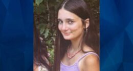 BOLO: Police Seek Tips on Missing 13-Year-Old Tennessee Girl