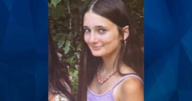 BOLO: Police Seek Tips on Missing 13-Year-Old Tennessee Girl