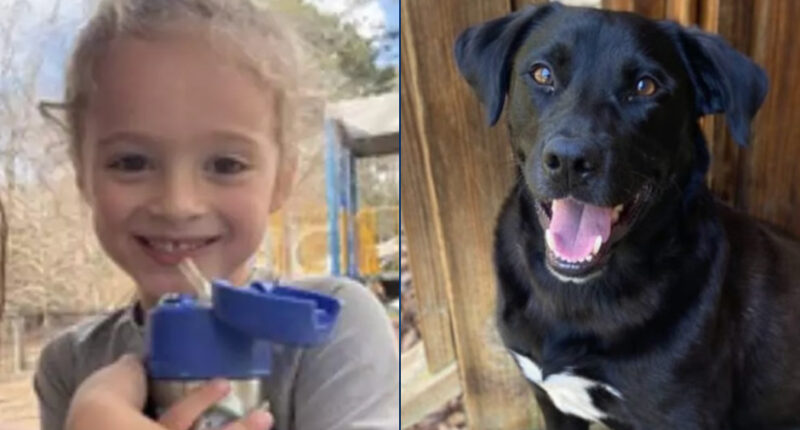 BREAKING: Missing 4-Year-Old Boy Found Dead 2 Miles From Dad’s Home